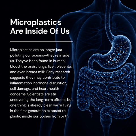Daily Microplastic Defense