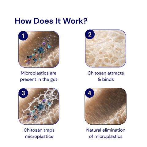 Daily Microplastic Defense